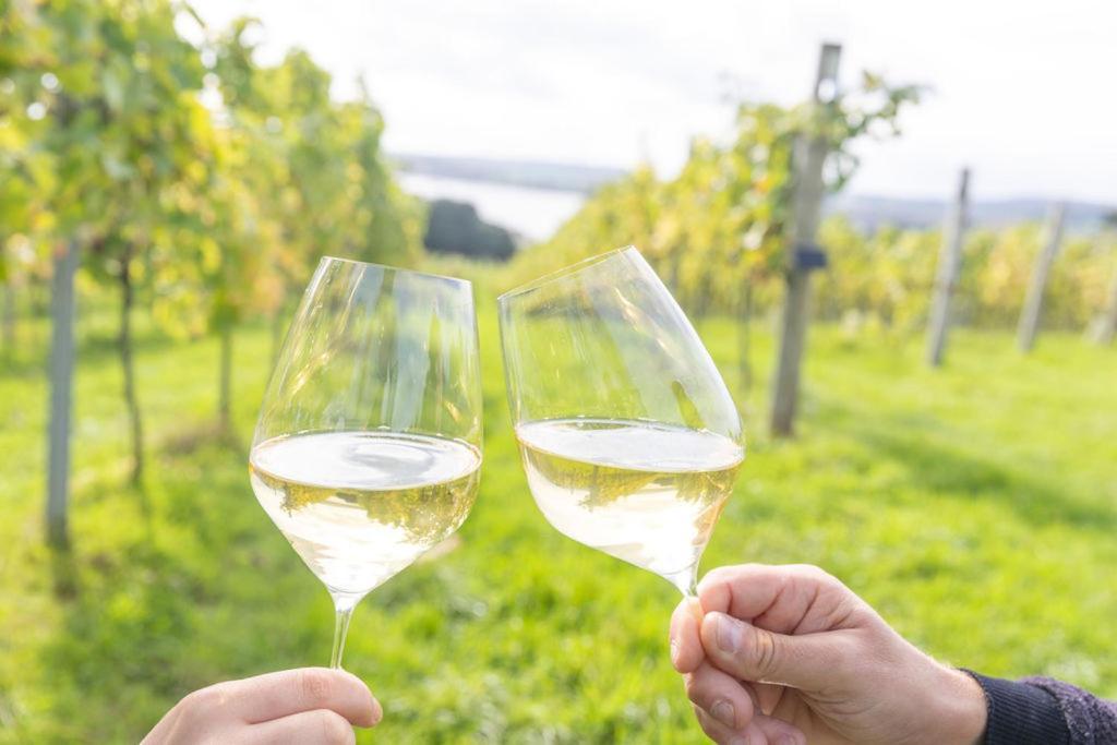 Lympstone Manor Hotel Restaurant & Vineyard - Relais & Chateaux Exmouth Luaran gambar