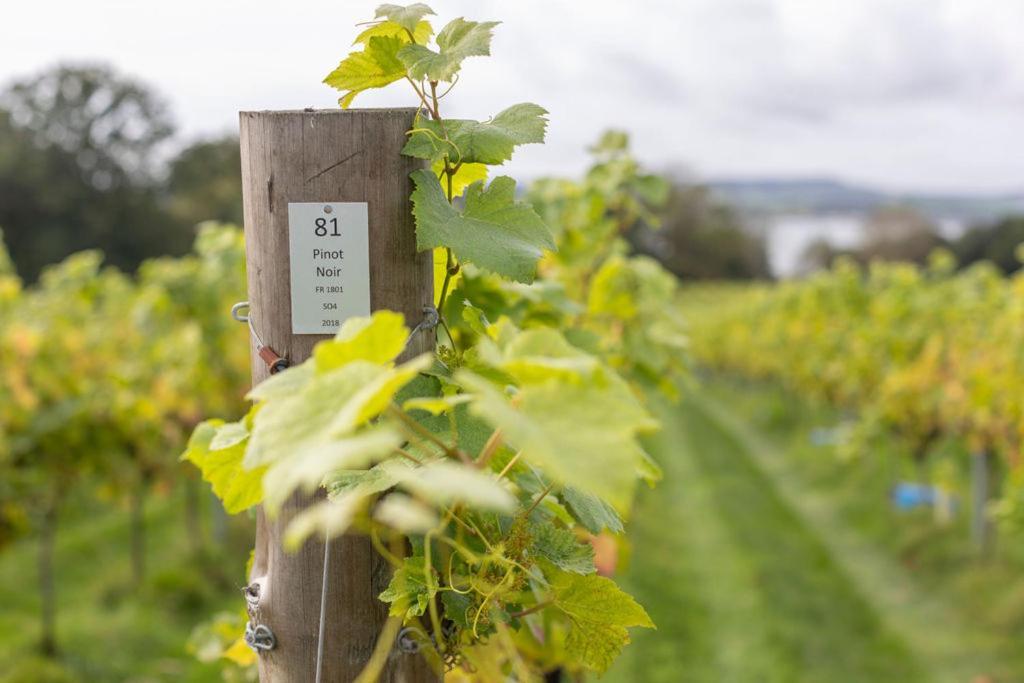 Lympstone Manor Hotel Restaurant & Vineyard - Relais & Chateaux Exmouth Luaran gambar