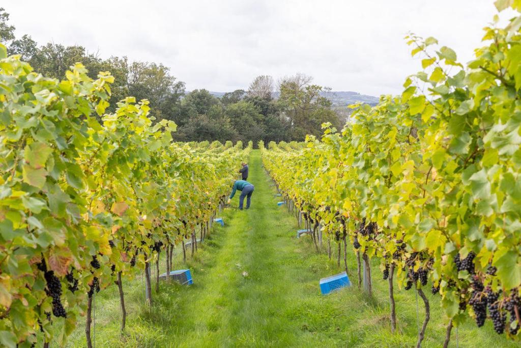Lympstone Manor Hotel Restaurant & Vineyard - Relais & Chateaux Exmouth Luaran gambar