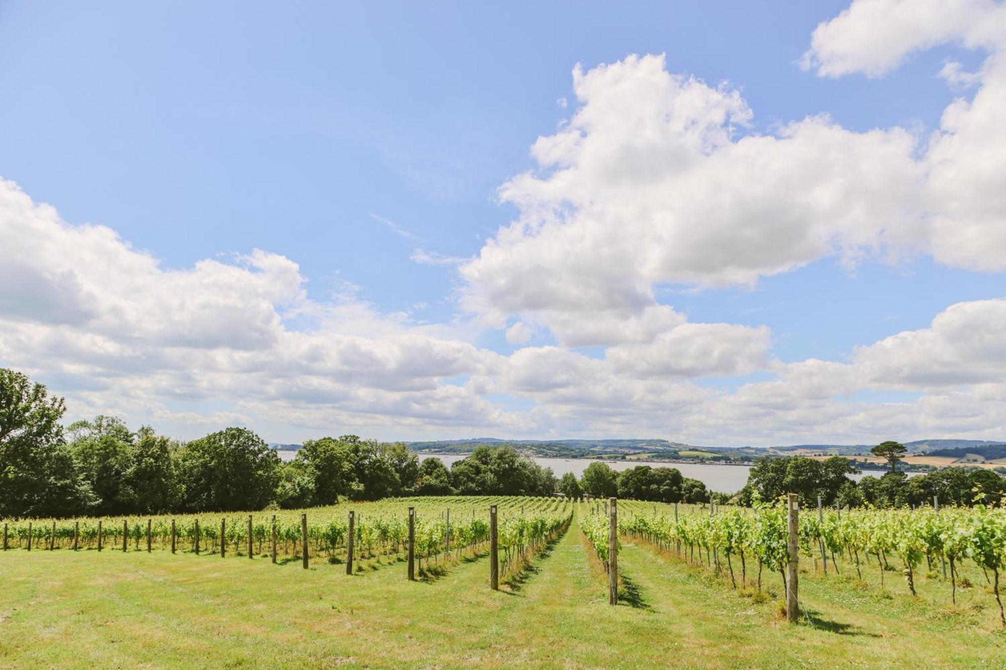Lympstone Manor Hotel Restaurant & Vineyard - Relais & Chateaux Exmouth Luaran gambar
