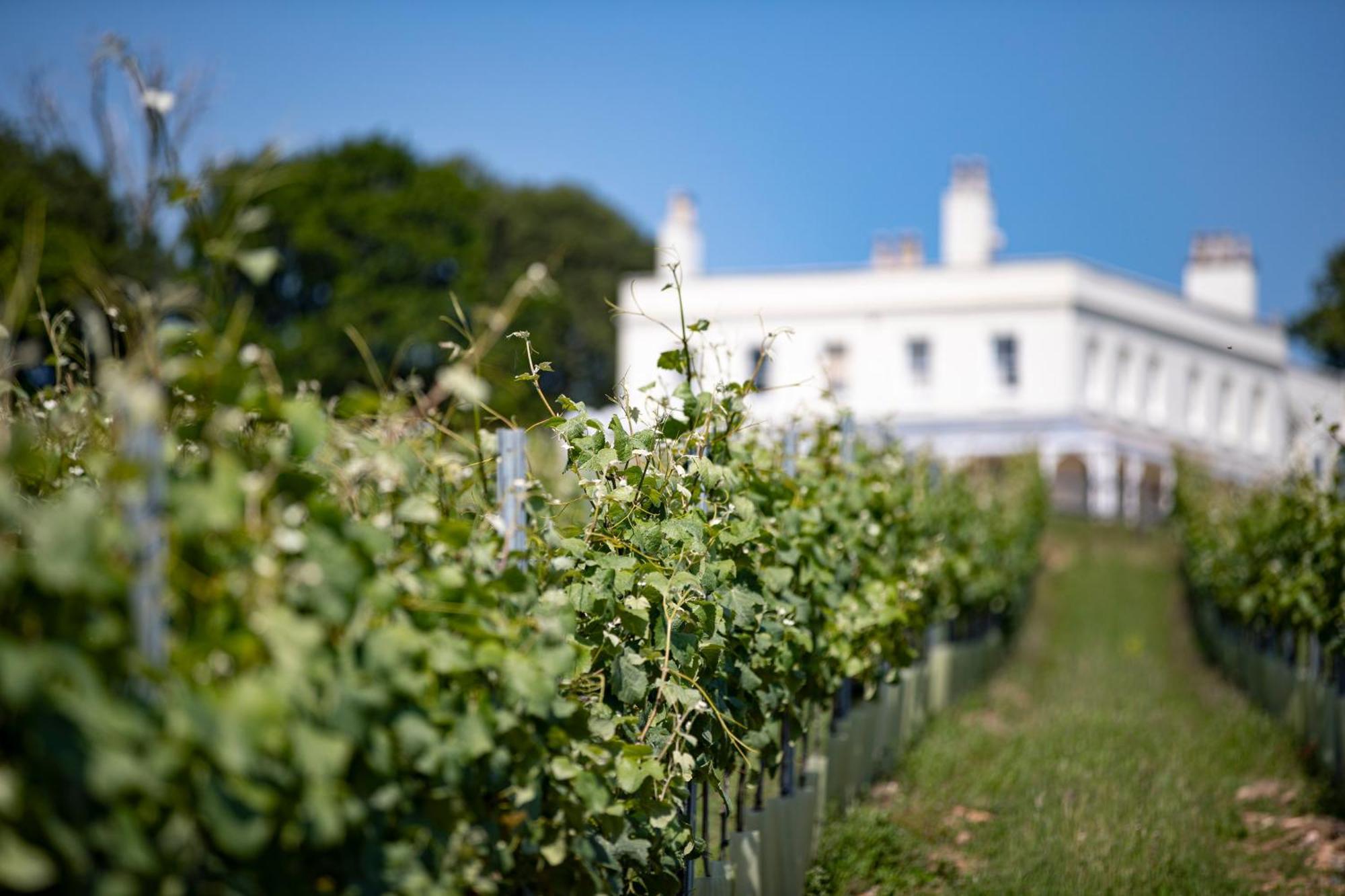 Lympstone Manor Hotel Restaurant & Vineyard - Relais & Chateaux Exmouth Luaran gambar