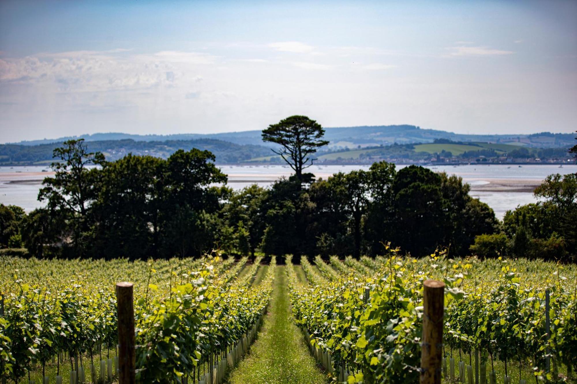 Lympstone Manor Hotel Restaurant & Vineyard - Relais & Chateaux Exmouth Luaran gambar