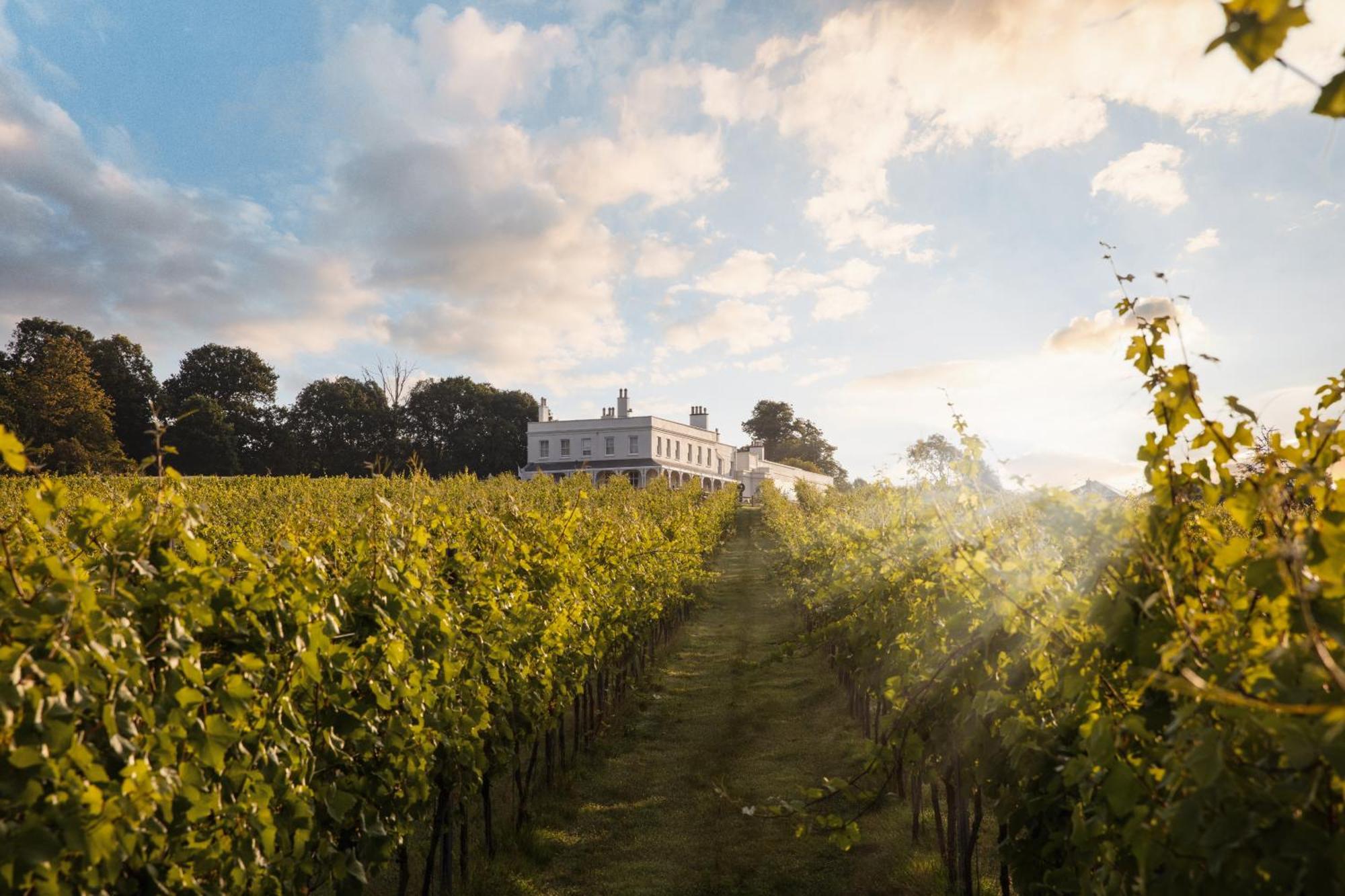 Lympstone Manor Hotel Restaurant & Vineyard - Relais & Chateaux Exmouth Luaran gambar